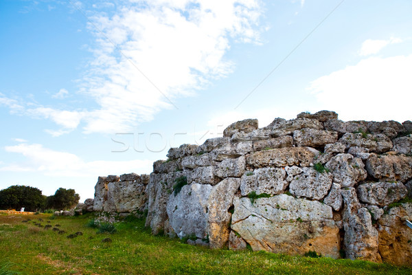 Ggantija temple remains in Gozo Stock photo © ElinaManninen