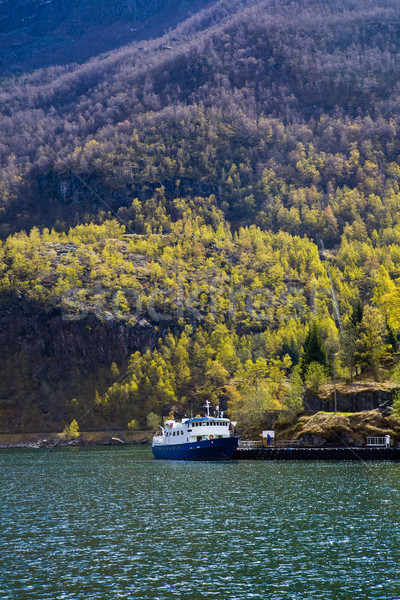 Norway fjord Stock photo © ElinaManninen