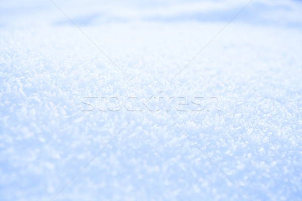 Fresh snow background Stock photo © ElinaManninen
