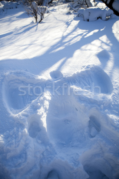 Foto stock: Nieve · ángel · nino · profundo · mullido · frío