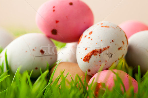 Zdjęcia stock: Easter · Eggs · pastel · kolorowy · trawy · Wielkanoc