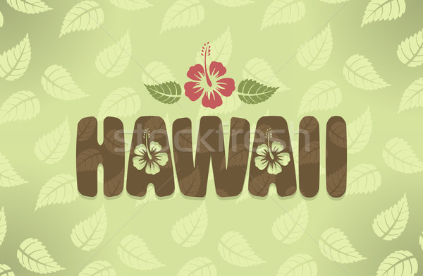 Vector illustration of Hawaii in vintage colors  Stock photo © Elisanth