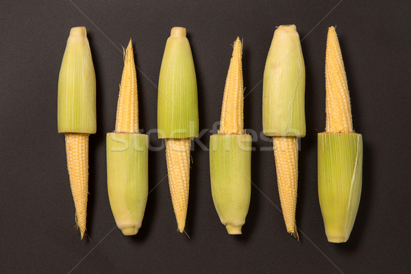 Raw of fresh baby corns  Stock photo © Elisanth
