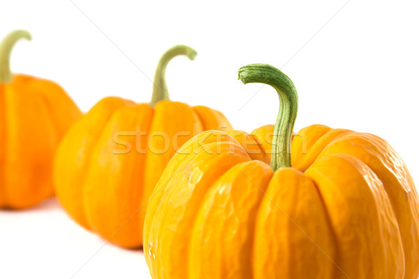 Row of decorative orange pumpkins  Stock photo © Elisanth