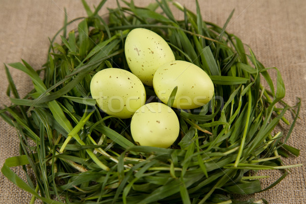Gras Nest Eier Schwerpunkt Textur Stock foto © Elisanth