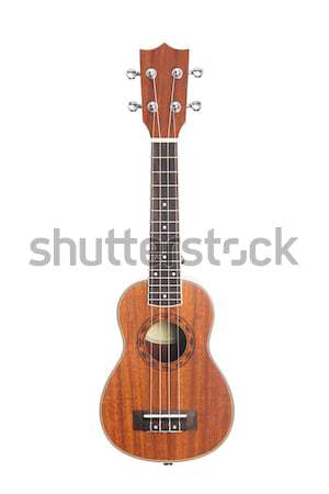 Studio shot of ukulele guitar  Stock photo © Elisanth