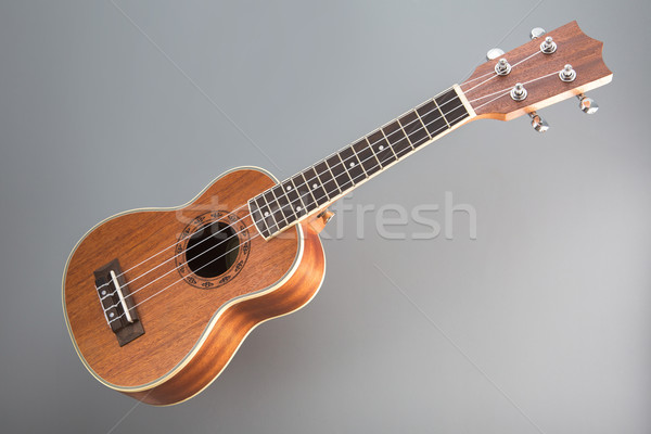 Ukulele guitar on gray background  Stock photo © Elisanth