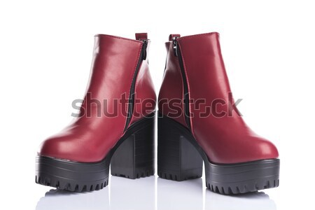 Pair of black classic female shoes  Stock photo © Elisanth