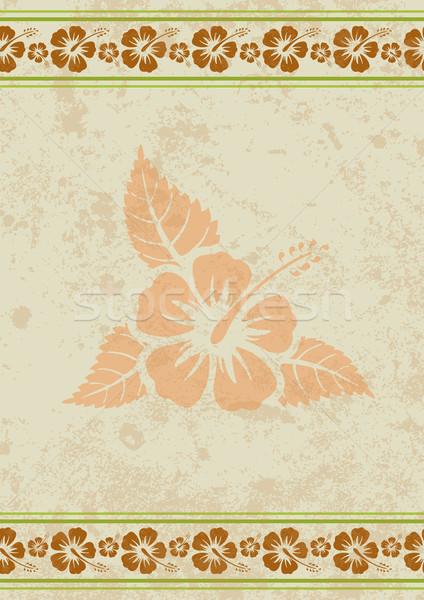 Vector grungy aloha background with tropical hibiscus flower  Stock photo © Elisanth