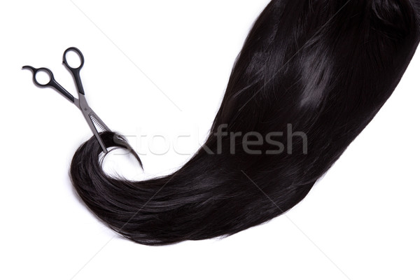 Lang zwart haar professionele schaar geïsoleerd witte Stockfoto © Elisanth