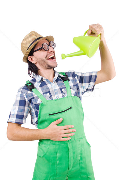 Funny gardener with watering can isolated on white Stock photo © Elnur