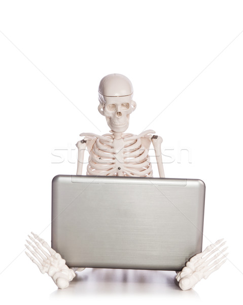 Skeleton working on laptop Stock photo © Elnur
