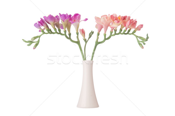 Vase with orchid flower isolated on white Stock photo © Elnur