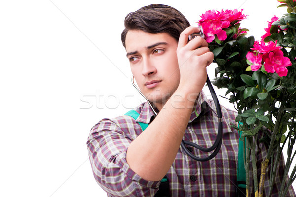 Young man gardener isolated on white Stock photo © Elnur