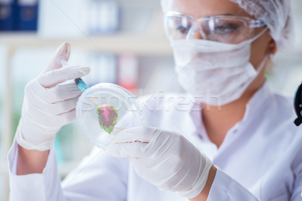 Femenino científico investigador experimento laboratorio mujer Foto stock © Elnur