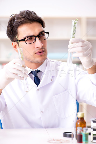 Biotechnology scientist chemist working in lab Stock photo © Elnur