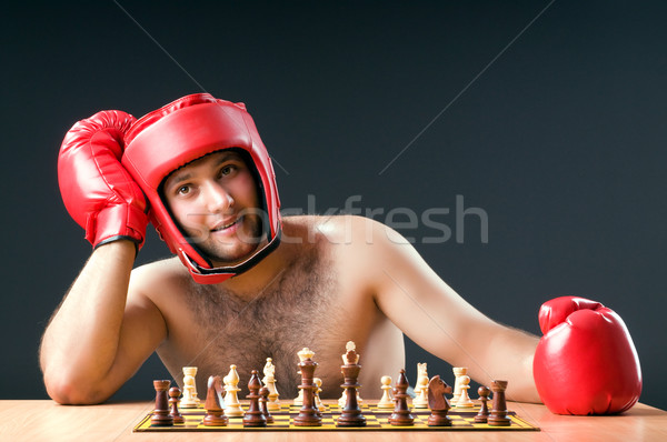 Boxer stuggling with chess game, Stock image