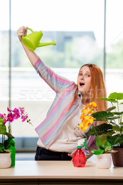Stock photo: Redhead woman taking care of plants at home