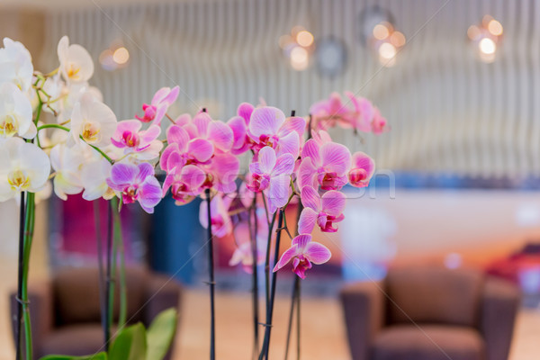 Hotel Lobby modernen Design Blumen Haus Stock foto © Elnur
