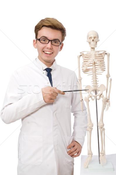 Funny doctor with skeleton isolated on white Stock photo © Elnur