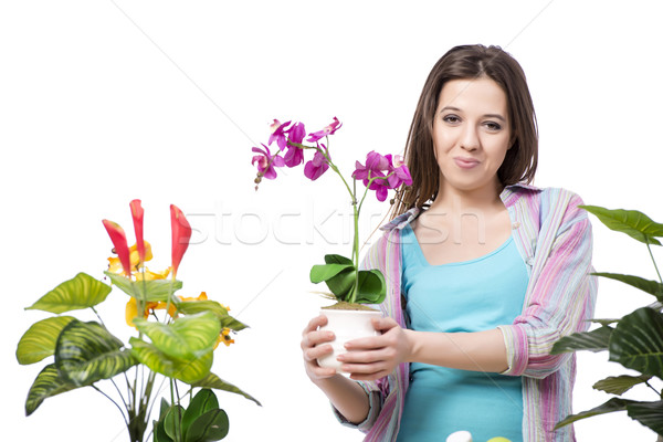 Foto stock: Mujer · toma · atención · planta · aislado · blanco