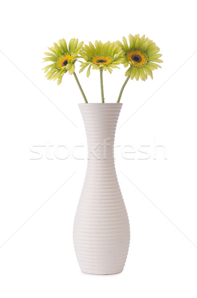 Foto stock: Flores · aislado · blanco · flor · vidrio · belleza