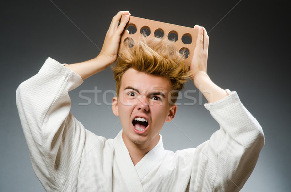 Grappig karate vechter klei baksteen model Stockfoto © Elnur