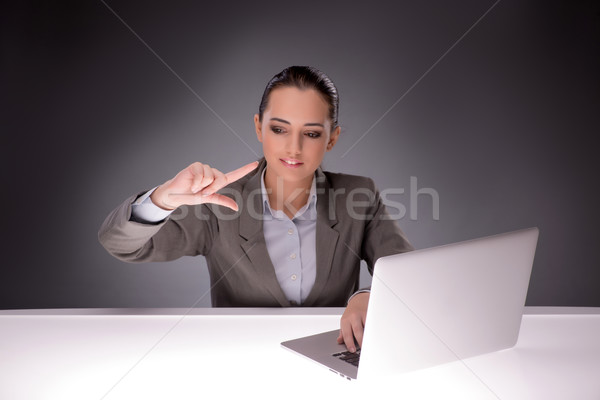 Young businesswoman working with laptop in business concept Stock photo © Elnur