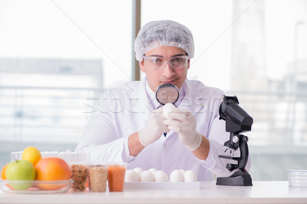 Nutrition expert testing food products in lab Stock photo © Elnur