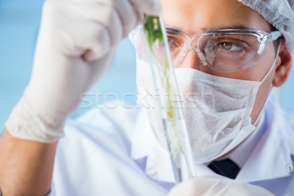 Stockfoto: Biotechnologie · wetenschapper · lab · gras · medische · technologie