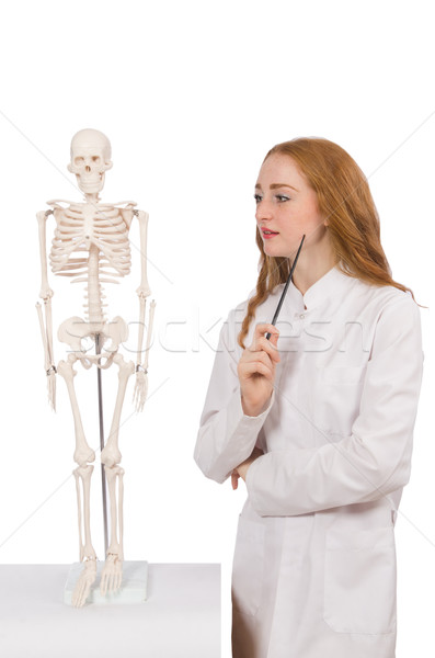 Young female doctor isolated on white Stock photo © Elnur