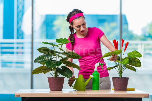 ストックフォト: 若い女性 · ケア · ホーム · 植物 · 花