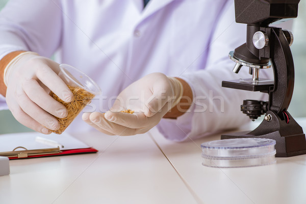 Stock photo: Nutrition expert testing food products in lab