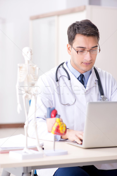 Doctor lecturer explaining the heart model Stock photo © Elnur