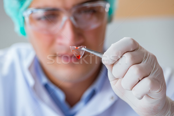 Young doctor working on blood test in lab hospital Stock photo © Elnur