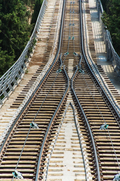 Rail tracks in bright summer day Stock photo © Elnur