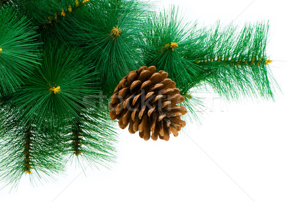 Christmas tree isolated on the white background Stock photo © Elnur