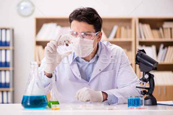 Male doctor working in the lab on virus vaccine Stock photo © Elnur