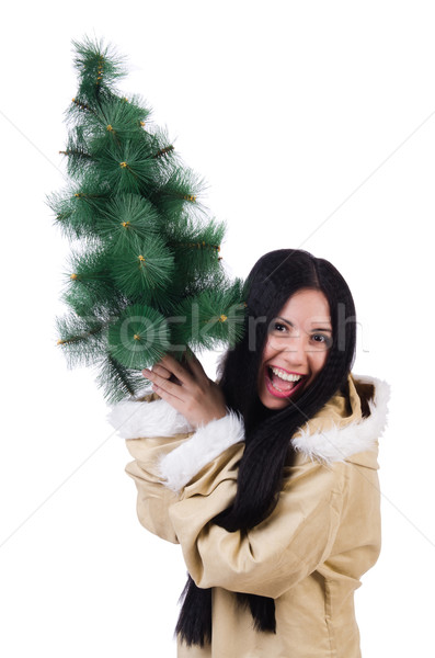 North woman with christmas tree isolated on white Stock photo © Elnur