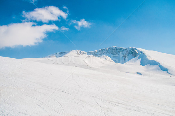 Kış dağlar parlak gün gökyüzü manzara Stok fotoğraf © Elnur