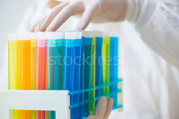 Young chemist student working in lab on chemicals Stock photo © Elnur