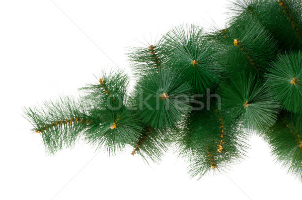Christmas tree isolated on the white background Stock photo © Elnur
