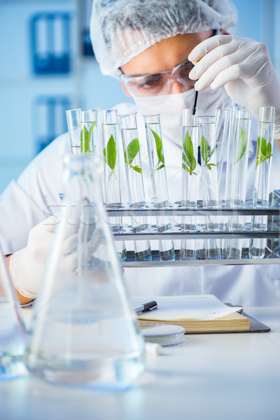 Biotechnology concept with scientist in lab Stock photo © Elnur