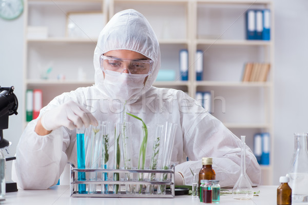 Biotehnologie om de ştiinţă chimist lucru laborator om Imagine de stoc © Elnur