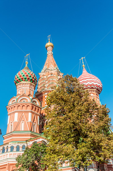 Famous st Vasily Blessed cathedral in Moscow Stock photo © Elnur