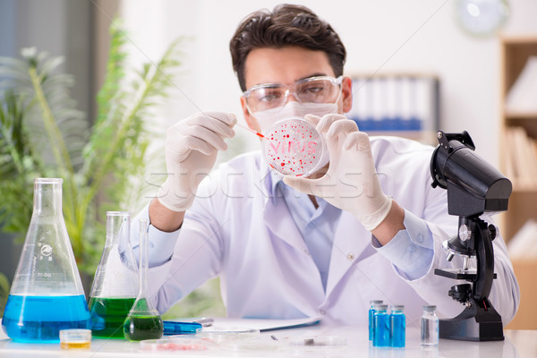 Médico do sexo masculino trabalhando lab vírus vacina médico Foto stock © Elnur