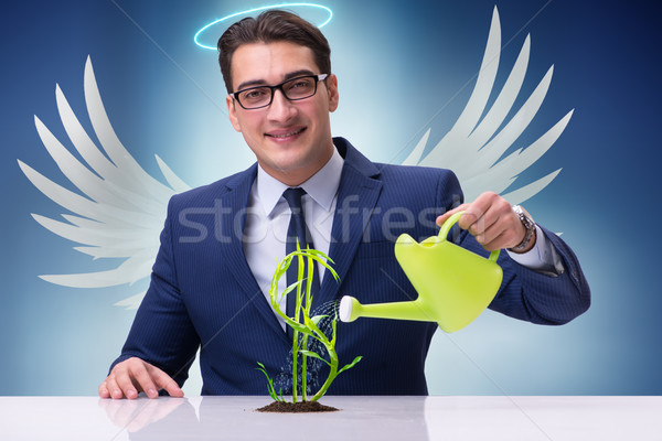 The businessman in angel investor concept growing future profits Stock photo © Elnur
