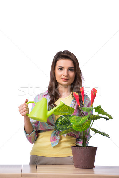 Foto stock: Mujer · toma · atención · plantas · aislado · blanco