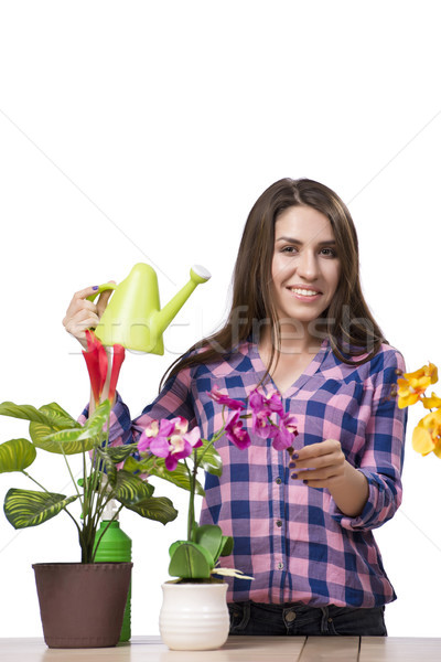 Young woman taking care of home plants Stock photo © Elnur