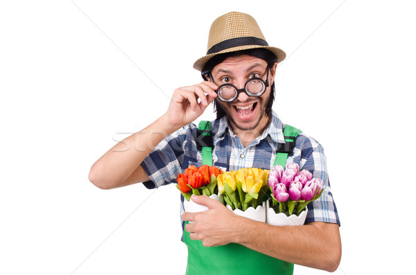 Homem jardineiro flores homem branco branco feliz Foto stock © Elnur